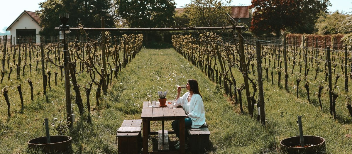 Wijngaarden Groesbeek (8 km)